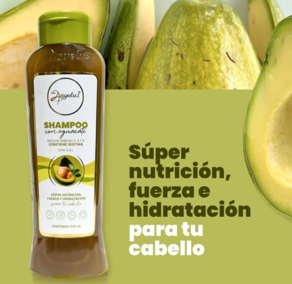 Shampoo Aguacate