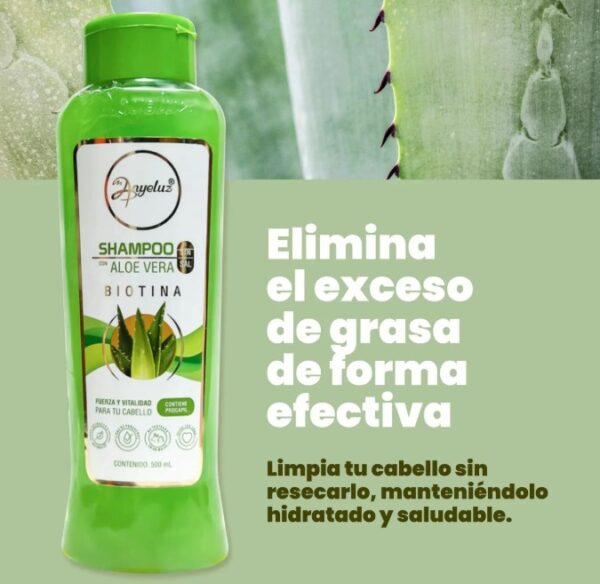 Shampoo Aloe