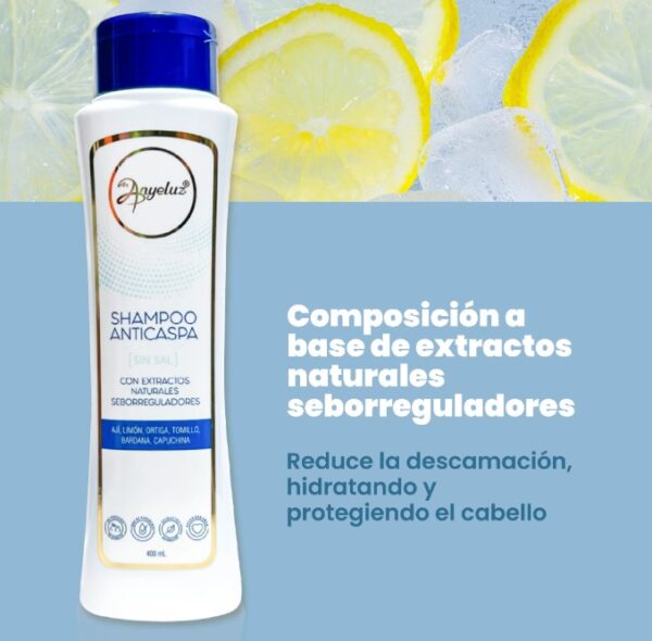 Shampoo anticaspa