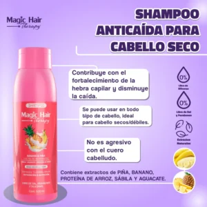 Shampoo Anticaida Seco